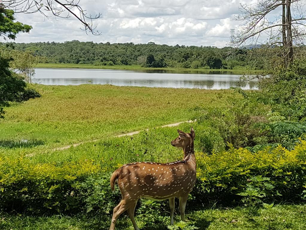 Blue Lake Ridge Maha Oya Экстерьер фото